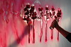 TheBaze > Pink Roses photo